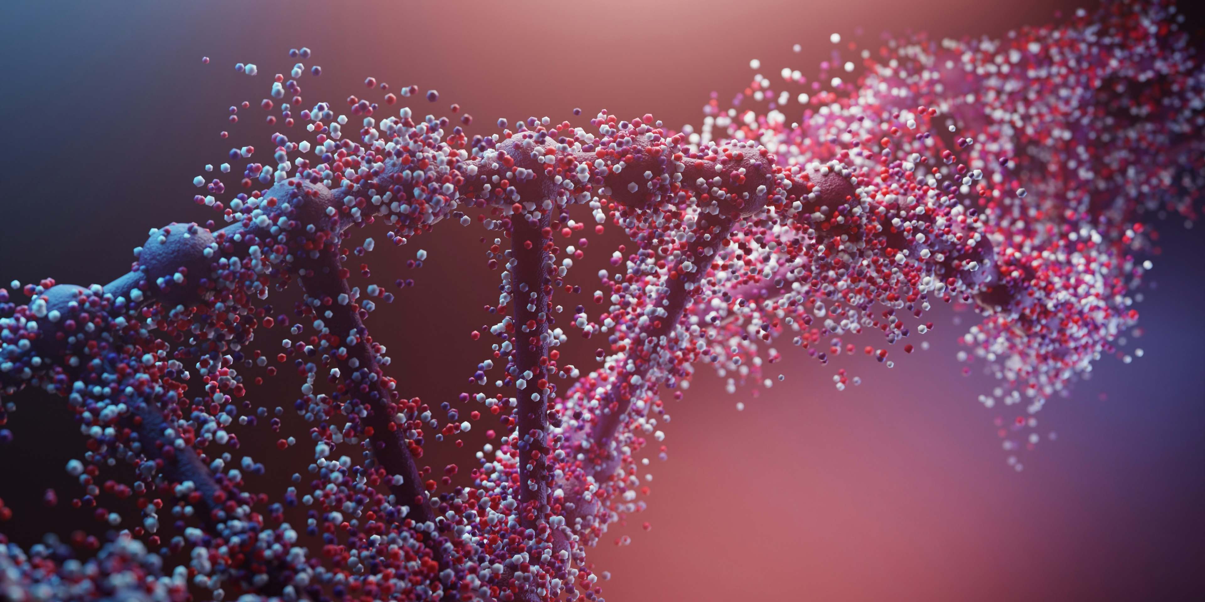 Auf dem Bild ist eine DNA-Sequenz bzw. eine RNA-Kette, also eine Ribonukleinsäure (RNA) und diese besteht aus einer linearen Abfolge von Nukleotiden, die durch Phosphodiesterbindungen miteinander verknüpft sind.